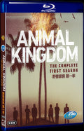 Animal Kingdom Season 1 (2016) Movie 2-Disc Box Set for Gift Collection Blu-ray