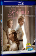 The Beguiled (2017) Movie 1-Disc Box Set for Gift Collection Blu-ray