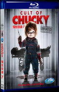 Cult of Chucky (2017) Movie 1-Disc Box Set for Gift Collection Blu-ray