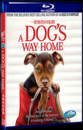 A Dogs Way Home (2019) Movie 1-Disc Box Set for Gift Collection Blu-ray