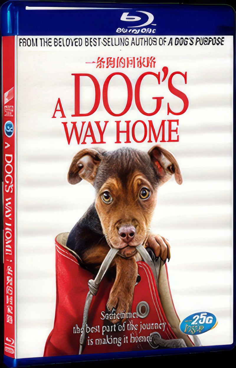 A Dogs Way Home (2019) Movie 1-Disc Box Set for Gift Collection Blu-ray