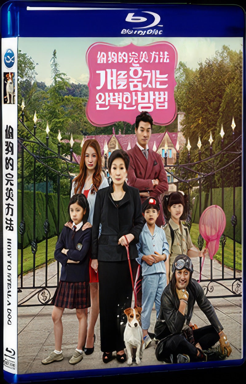 2014 How to Steal a Dog Movie 1-Disc Box Set for Gift Collection Blu-ray
