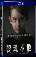 2019 The Hole in the Ground Movie 1-Disc Box Set for Gift Collection Blu-ray