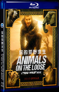 Animals on the Loose: A You vs. Wild Movie (2021) Movie 1-Disc Box Set for Gift Collection Blu-ray