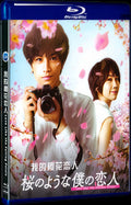 Love Like the Falling Petals (2022) Movie 1-Disc Box Set for Gift Collection Blu-ray
